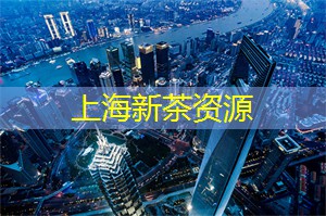 认识上海的运动心理学专家